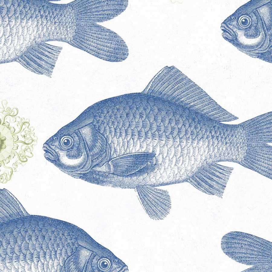 MIND THE GAP Fish Blue Wallpaper