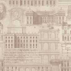 MINDTHEGAP Vitruvius Taupe Wallpaper