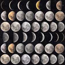 MINDTHEGAP Moon Phases Wallpaper