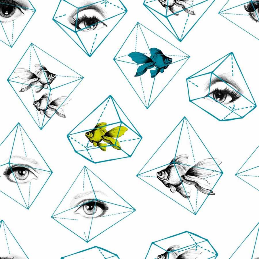 MIND THE GAP Fish Eye Wallpaper