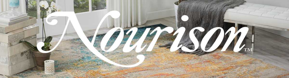  Nourison Living Room Rugs