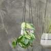 OUTLET Matamba Matchsticks Hanging Planter
