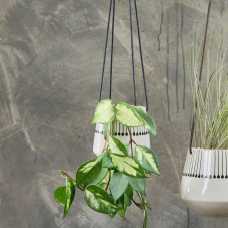 OUTLET Matamba Matchsticks Hanging Planter
