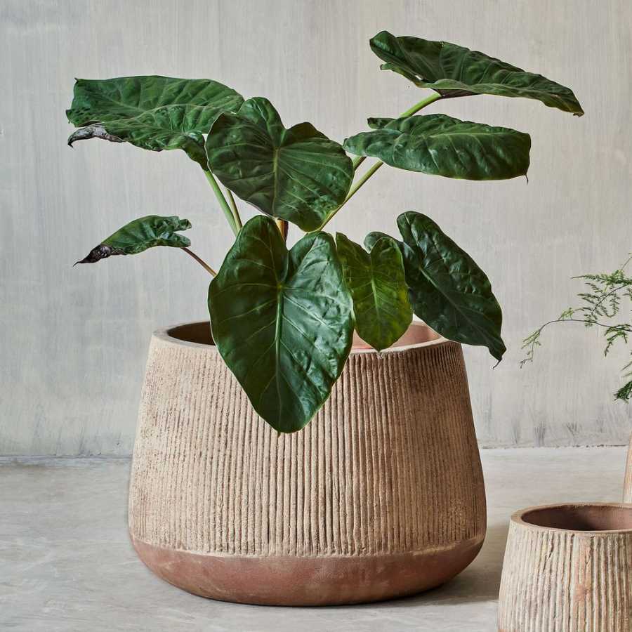 Nkuku Wampu Wide Planter - Terracotta - Large
