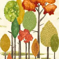 Ohpopsi Concept Tall Trees CEP50138W Wallpaper - Autumn