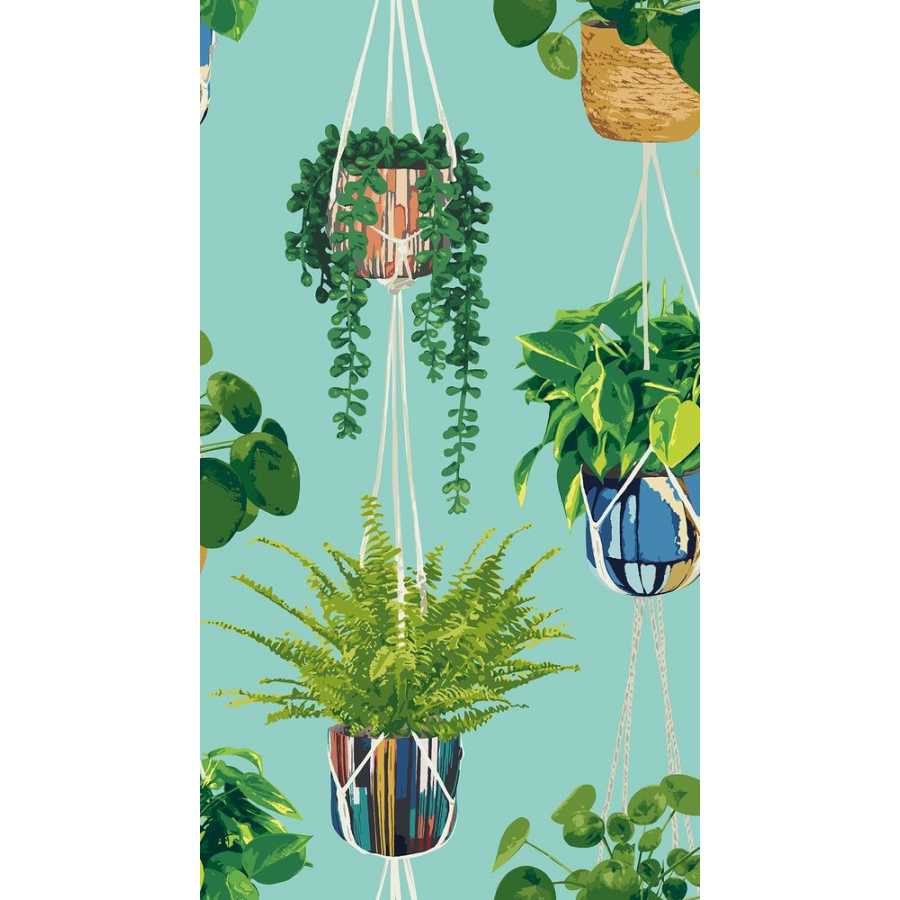 Ohpopsi Grafik Houseplant GRA50108W Wallpaper - Cerulean Twist