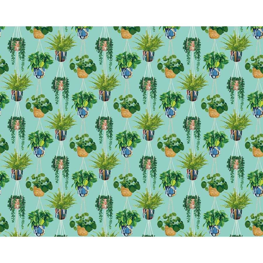 Ohpopsi Grafik Houseplant GRA50108W Wallpaper - Cerulean Twist