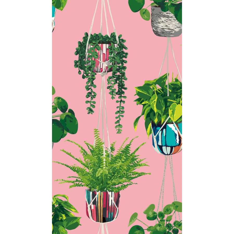 Ohpopsi Grafik Houseplant GRA50109W Wallpaper - Bubblegum