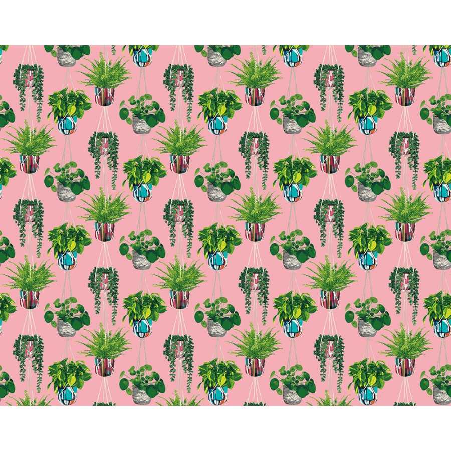 Ohpopsi Grafik Houseplant GRA50109W Wallpaper - Bubblegum