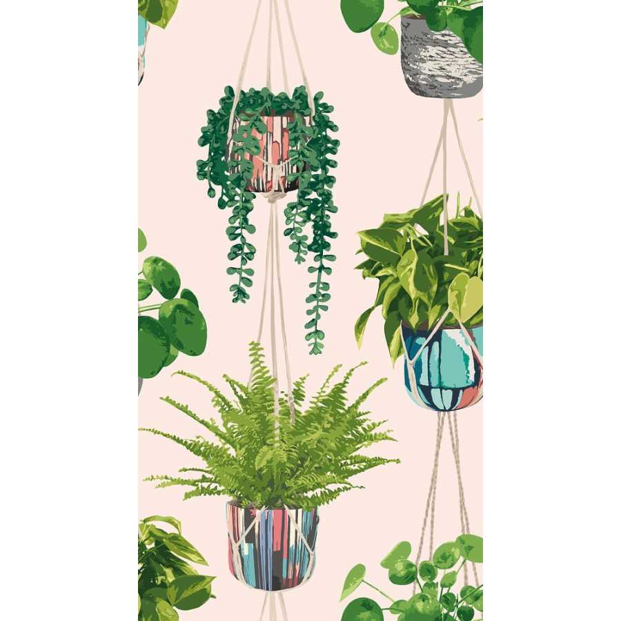 Ohpopsi Grafik Houseplant GRA50110W Wallpaper - Ballet Slipper