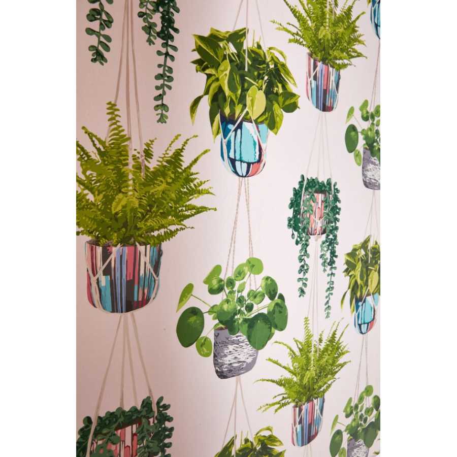 Ohpopsi Grafik Houseplant GRA50110W Wallpaper - Ballet Slipper