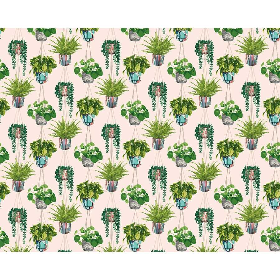 Ohpopsi Grafik Houseplant GRA50110W Wallpaper - Ballet Slipper