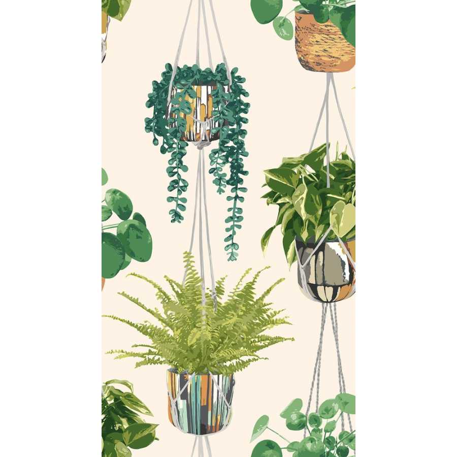 Ohpopsi Grafik Houseplant GRA50111W Wallpaper - Sage & Cider