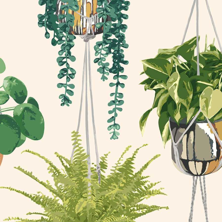 Ohpopsi Grafik Houseplant GRA50111W Wallpaper - Sage & Cider