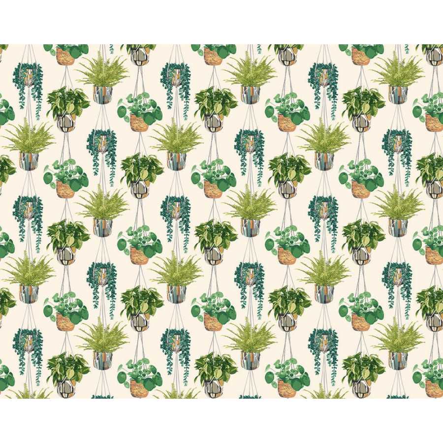 Ohpopsi Grafik Houseplant GRA50111W Wallpaper - Sage & Cider