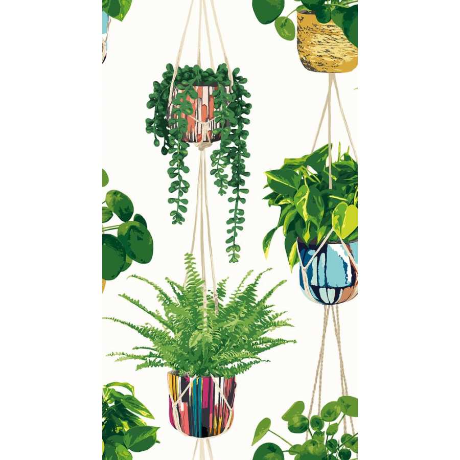 Ohpopsi Grafik Houseplant GRA50112W Wallpaper - Parakeet