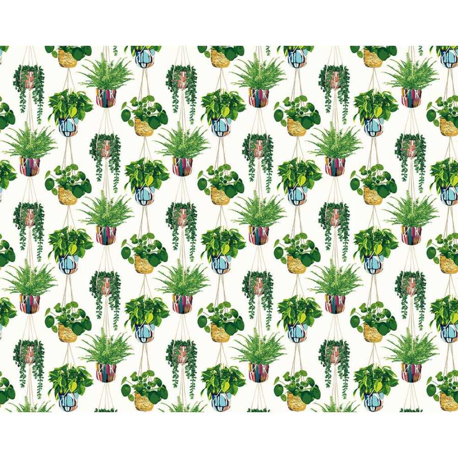 Ohpopsi Grafik Houseplant GRA50112W Wallpaper - Parakeet