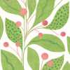 Ohpopsi Grafik Berry Dot GRA50135W Wallpaper - Pear & Peach