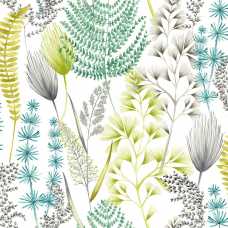 Ohpopsi Jardin Summer Ferns JRD50102W Wallpaper - Acid