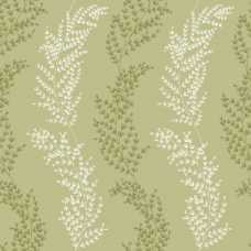 Ohpopsi Jardin Mimosa Trail JRD50109W Wallpaper - Sage Olive