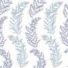 Ohpopsi Jardin Mimosa Trail JRD50110W Wallpaper - Blue