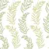 Ohpopsi Jardin Mimosa Trail JRD50111W Wallpaper - Olive