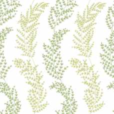 Ohpopsi Jardin Mimosa Trail JRD50111W Wallpaper - Olive
