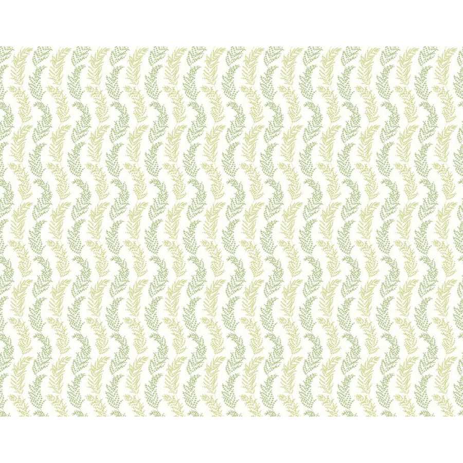 Ohpopsi Jardin Mimosa Trail JRD50111W Wallpaper - Olive