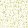 Ohpopsi Jardin Arabella JRD50120W Wallpaper - Green Cream