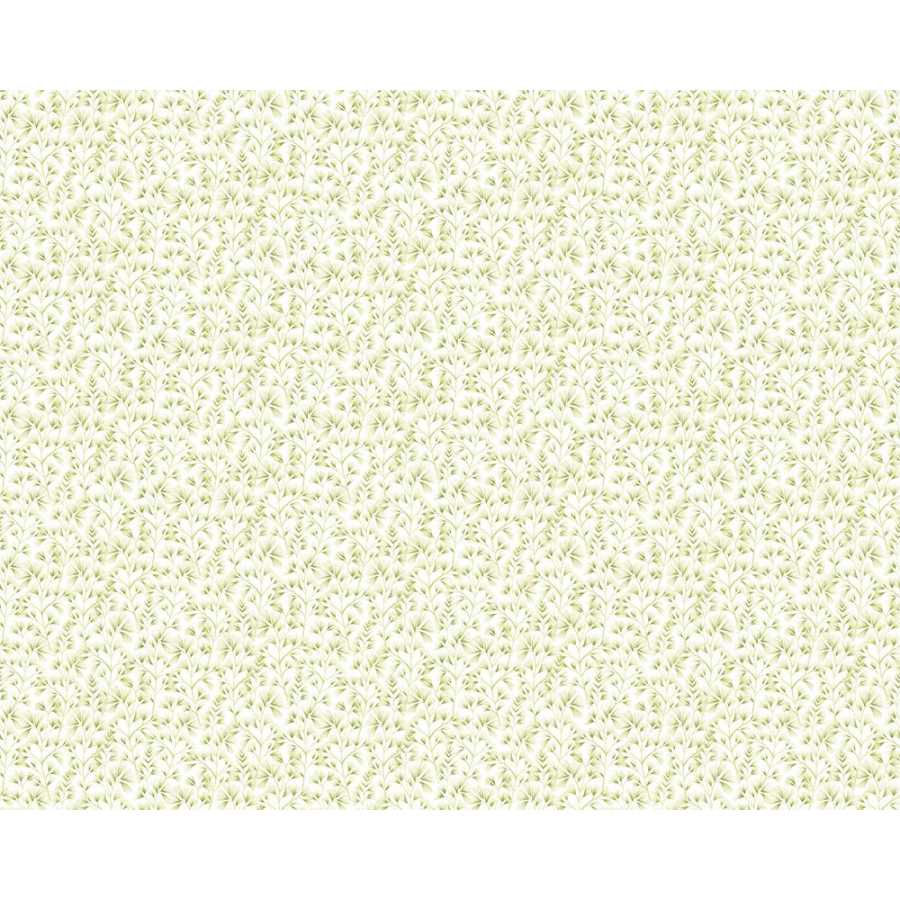 Ohpopsi Jardin Arabella JRD50120W Wallpaper - Green Cream