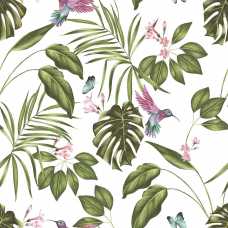 Ohpopsi Wild Hummingbird WLD53114W Wallpaper - Wilderness White