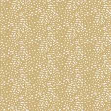 Ohpopsi Wild Cheetah Spot WLD53129W Wallpaper - Safari Gold