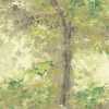 Ohpopsi Seasons Dapple WND50101M Mural Wallpaper - Forest