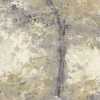 Ohpopsi Seasons Dapple WND50103M Mural Wallpaper - Pebble & Flax