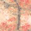 Ohpopsi Seasons Dapple WND50105M Mural Wallpaper - Geranium