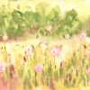 Ohpopsi Seasons Meadow WND50122M Mural Wallpaper - Raspberry & Citrine