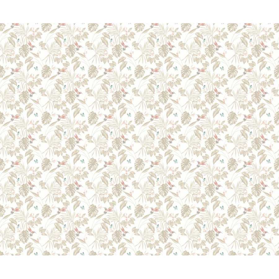 Ohpopsi Laid Bare Hummingbird LBK50104W Wallpaper - Oyster