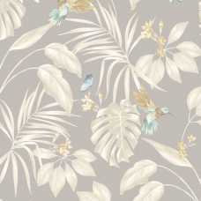 Ohpopsi Laid Bare Hummingbird LBK50112W Wallpaper - Flint