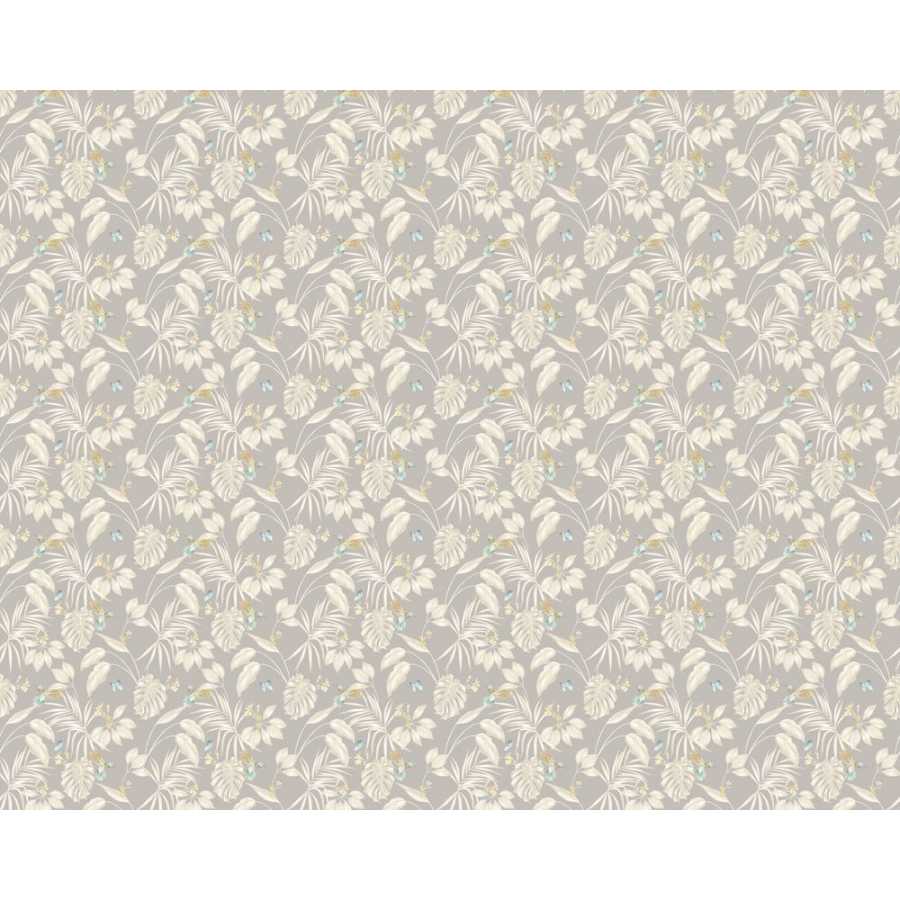 Ohpopsi Laid Bare Hummingbird LBK50112W Wallpaper - Flint