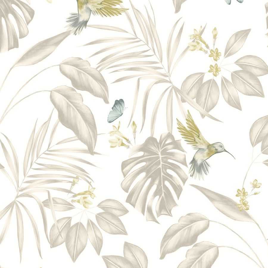 Ohpopsi Laid Bare Hummingbird LBK50114W Wallpaper - Pearl