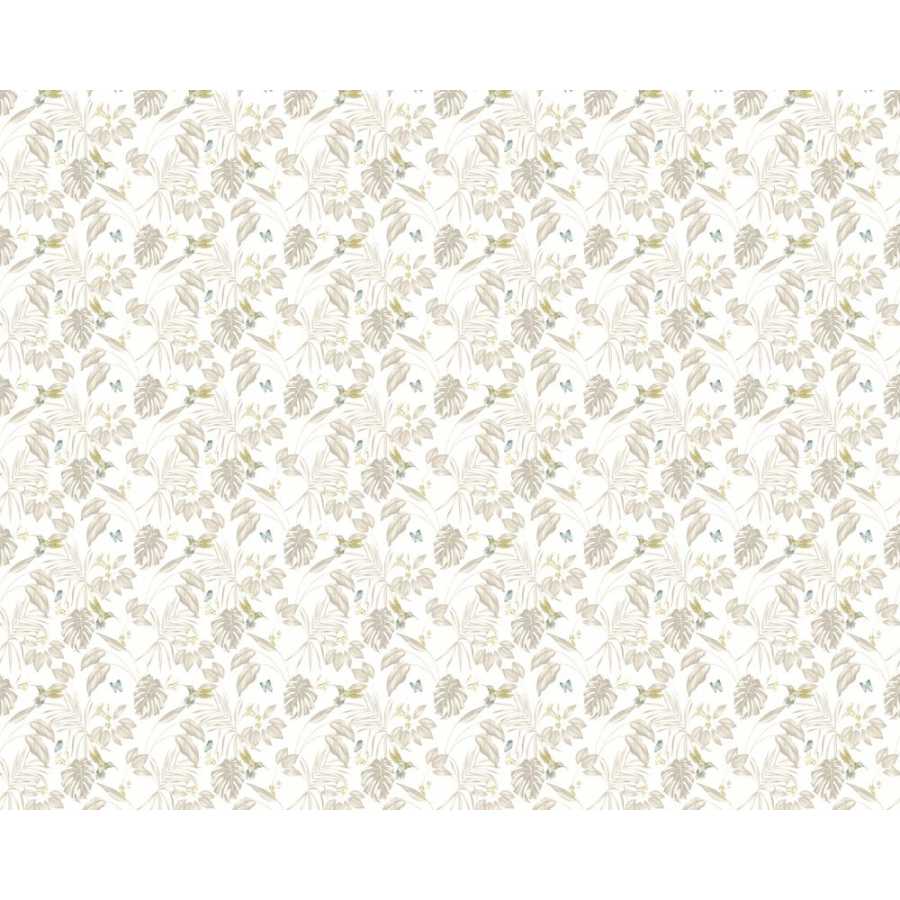 Ohpopsi Laid Bare Hummingbird LBK50114W Wallpaper - Pearl