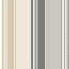 Ohpopsi Laid Bare Multi Stripe LBK50120W Wallpaper - Slate Mix