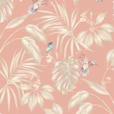 Ohpopsi Laid Bare Hummingbird LBK50136W Wallpaper - Rosewood