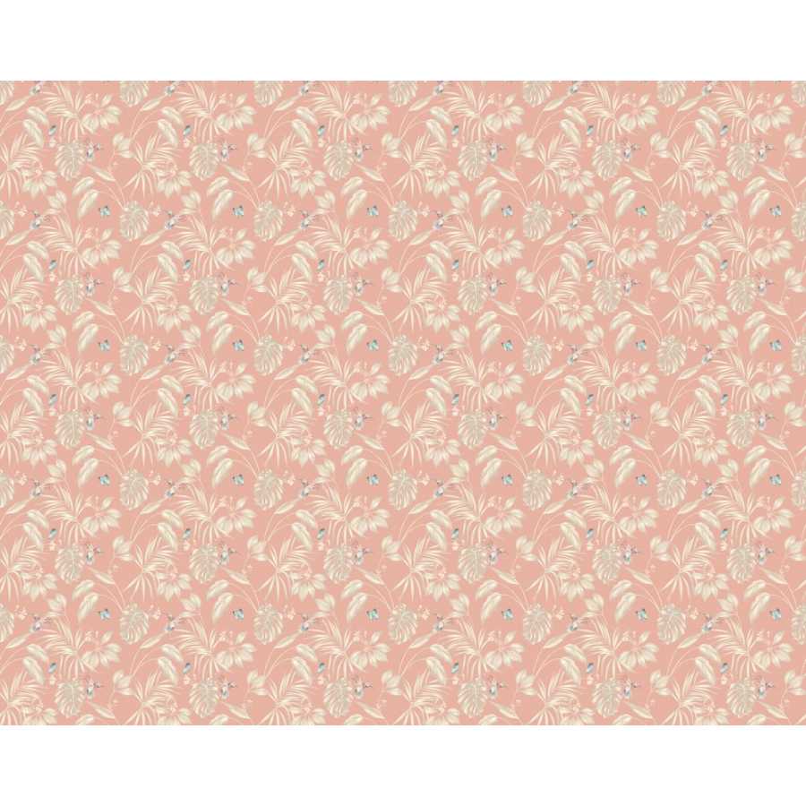 Ohpopsi Laid Bare Hummingbird LBK50136W Wallpaper - Rosewood