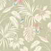 Ohpopsi Laid Bare Hummingbird LBK50138W Wallpaper - Sage