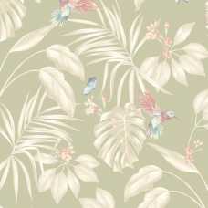 Ohpopsi Laid Bare Hummingbird LBK50138W Wallpaper - Sage