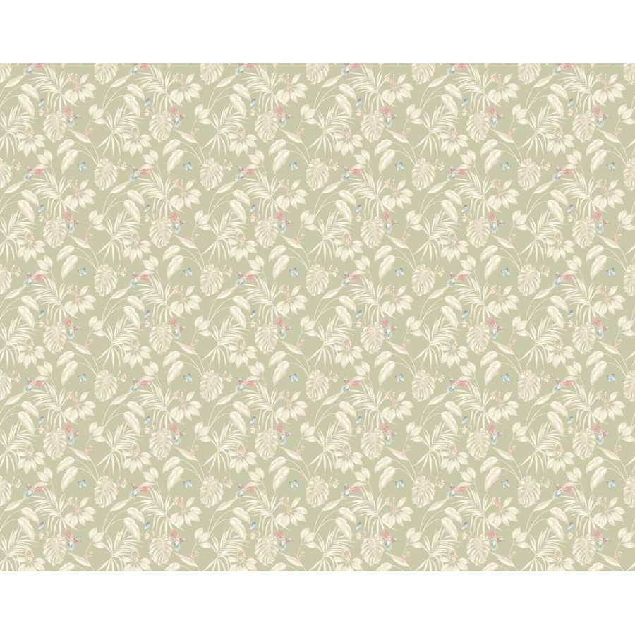 Ohpopsi Laid Bare Hummingbird LBK50138W Wallpaper - Sage