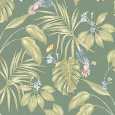 Ohpopsi Laid Bare Hummingbird LBK50147W Wallpaper - Forest