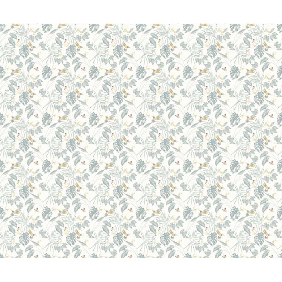 Ohpopsi Laid Bare Hummingbird LBK50160W Wallpaper - Wedgewood