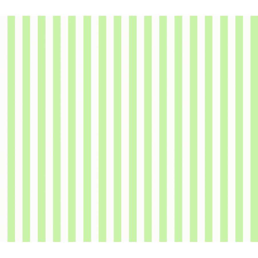 Ohpopsi Simply Stripes Bloc Stripe SIS50104W Wallpaper - Fennel